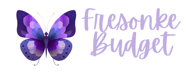 Fresonke Budget
